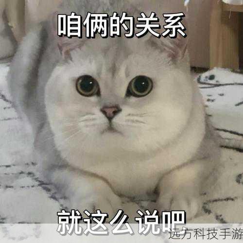 对于玩家来说,这不仅仅是一次简单的游戏体验,更是一次与猫咪们一同探索未知、感受美好愿望的旅程,我们可以跟随猫咪的脚步,去发现那些隐藏在角落里的惊喜,去帮助它们实现心中的愿望,在这个过程中,我们会收获快乐、感动和温暖。