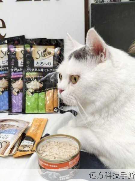 《如果猫的愿望能实现的话》是一部充满期待的作品,它将带给我们无尽的欢乐和感动,让我们更加深入地了解猫咪的世界,也让我们对开发团队的未来作品充满期待。