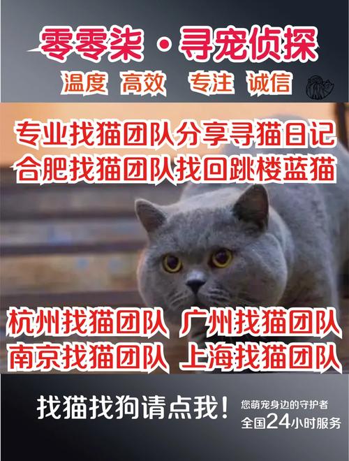 3、开发团队为什么选择以猫为主题?