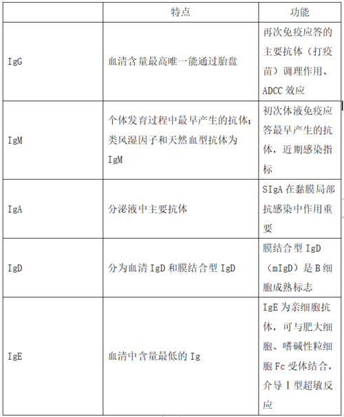 其他功能与特性