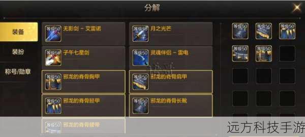 装备选择:确保队伍成员的装备等级符合要求,至少达到50级,并拥有一定的防御和输出能力。