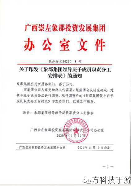 分工明确:明确每个成员的任务和职责,确保队伍行动的高效性和协调性。