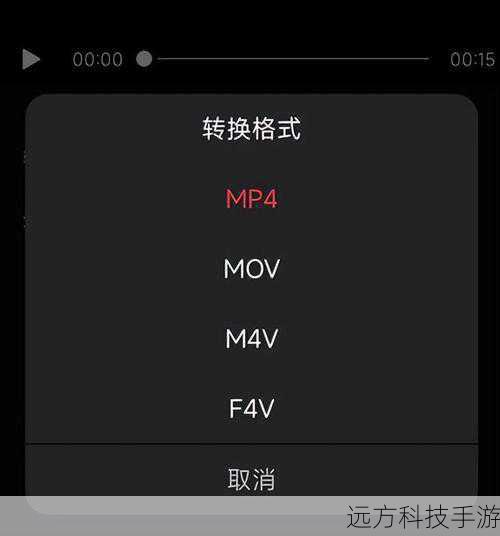 3. 转换设置