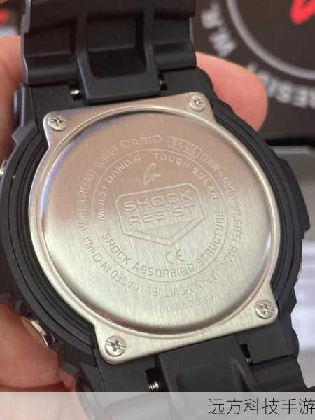 在电源方面,卡西欧SX-100采用了太阳能和电池双重供电模式,既环保又实用,在光线充足的环境下,它可以通过太阳能板自动充电,无需担心电量耗尽的问题,而在光线不足或需要长时间使用时,只需更换电池即可继续工作,确保用户随时都能享受到便捷的计算体验。