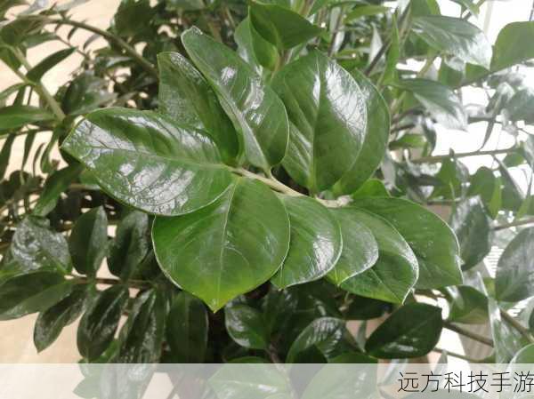 3. 绿色灵魂兽:生命之树