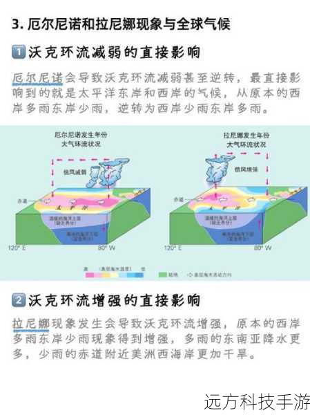 刷新时间:每半小时刷新一次,但受天气和特定事件影响。