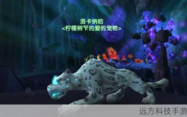 寻找灵魂兽的技巧: