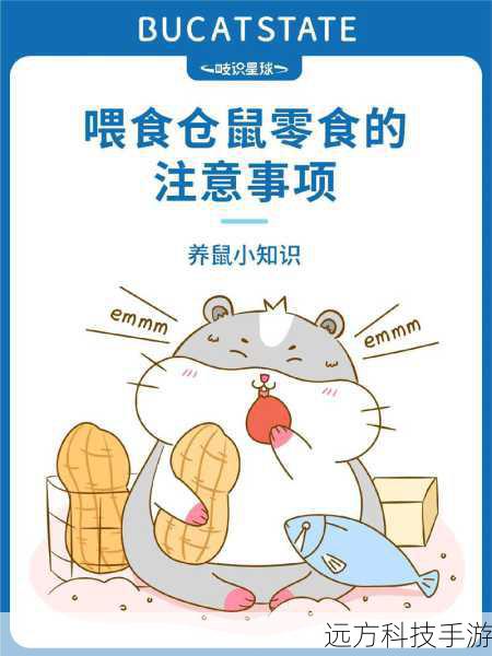 注意事项