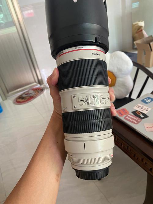 Q: 佳能FS406的防抖效果如何?
