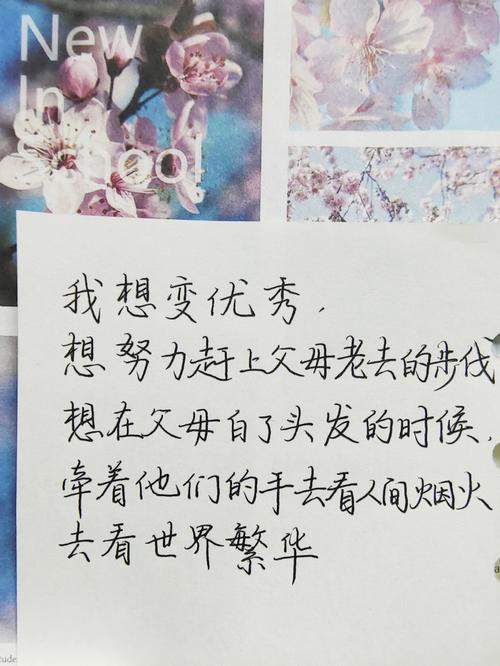 这个问题其实很难一概而论,因为两款手机分别代表了不同的时代和市场需求,如果你追求的是复古情怀、小巧便携以及基本的通讯和音乐播放功能,那么步步高i509无疑是一个不错的选择;但如果你更看重性能、显示效果、拍照能力以及丰富的应用生态,那么苹果iPhone6 Plus 16GB无疑是更好的选择,考虑到iPhone6 Plus已经停产多年且价格不菲,如果你对性能有更高要求且预算充足的话,也可以考虑选择更新的iPhone型号。