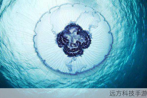 水下世界:不要忽视水下区域,许多岩神瞳位于河流、湖泊的深处,使用元素反应或水元素角色的技能可以帮助你到达更远的地方。