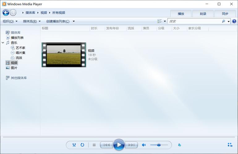 问题二:三星S5230c支持哪些音频格式?