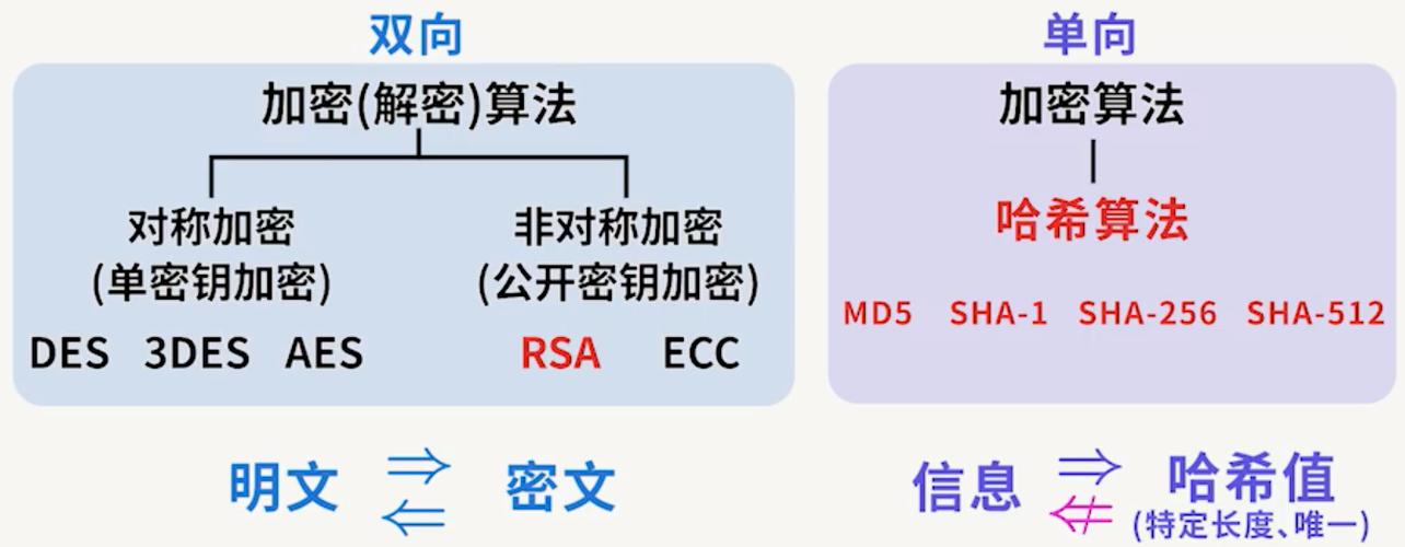 豌豆IP通过采用高级加密技术,如SSL/TLS加密,确保所有在线活动的安全,其隐私保护机制主要包括: