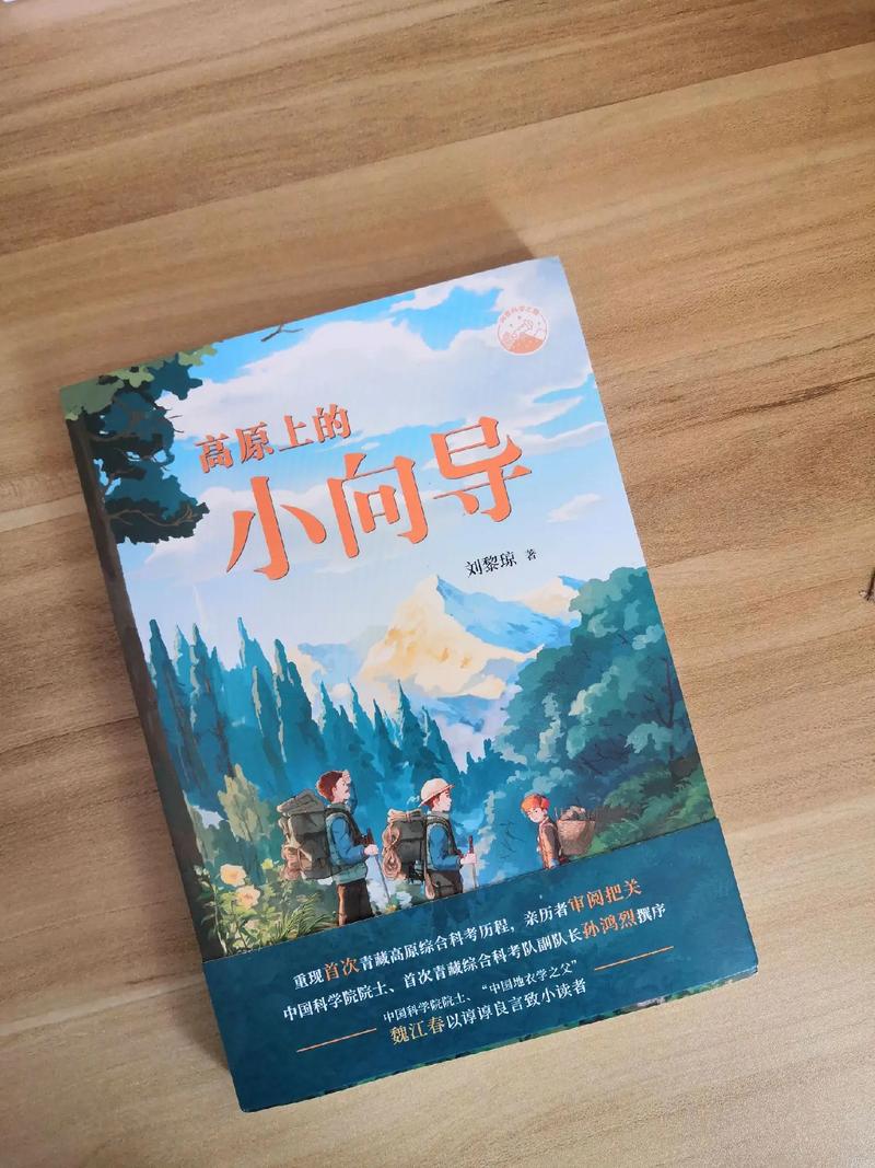 专业解析,揭开专业神秘面纱
