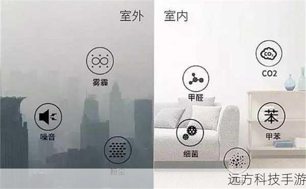 室内空气净化的全方位指南与详细方法解析