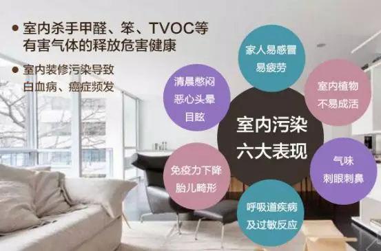 室内灰尘、细菌等污染物的积累也会严重影响室内空气质量,定期清洁地面、墙壁、家具等表面,减少灰尘和细菌的滋生,是保持室内空气清新的重要手段,使用吸尘器等工具可以有效减少室内灰尘的积累,提高清洁效率。