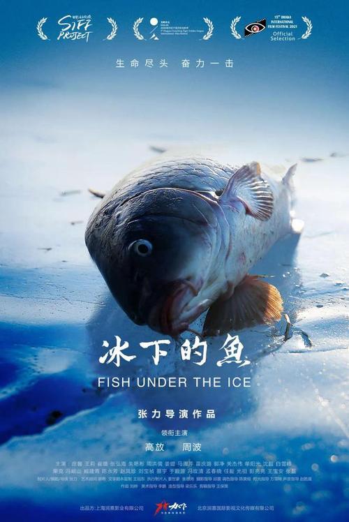 如何在预算削减的情况下依然打造出一部优秀的游改电影呢?这需要导演和制作团队具备高超的技艺和丰富的经验,他们需要在有限的资源下,做出最明智的决策,将每一分钱都用在刀刃上,与游戏开发者的紧密合作也是至关重要的,只有这样才能确保电影能够忠实还原游戏的精髓。