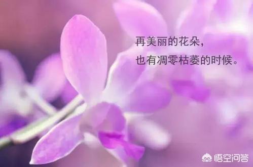 A:联想A820紫色版在拍照方面表现出色,它配备了高清摄像头,支持多种拍照模式和滤镜,让你轻松拍出专业级的照片,无论是风景、人像还是微距拍摄,都能得到清晰细腻的画面效果,前置摄像头还具备美颜自拍功能,让你随时随地都能拍出自信美丽的自己。