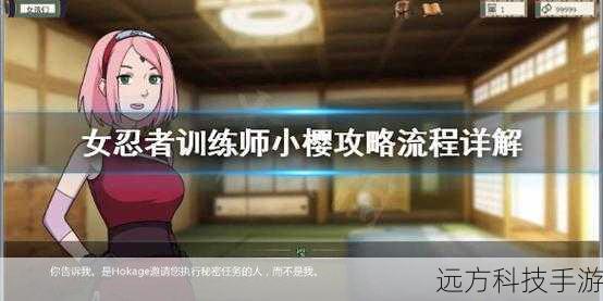 独家揭秘女忍者训练师,深度攻略与秘籍,助你成为顶尖忍者大师!
