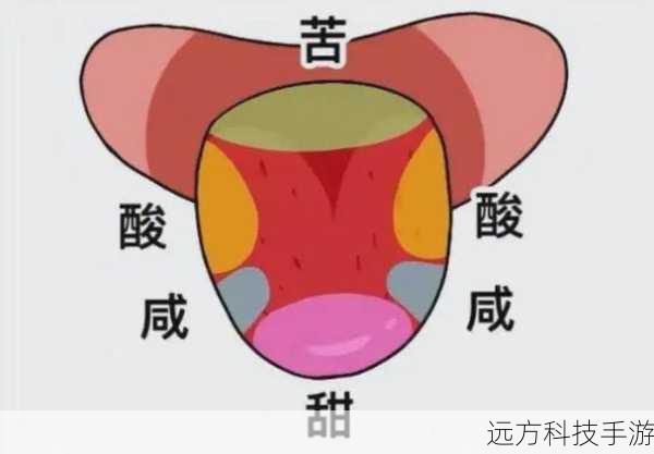 一边伸舌头一边快速喘气(喘息间的舌尖舞动)